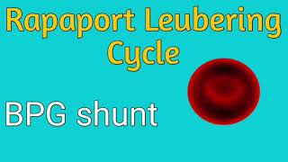 BPG shunt  Rapaport Leubering cycle  Significance of 23 Bisphosphoglycerate in RBC [upl. by Tore]