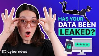 Data Leaks and Their Effects How to check if your data has been leaked [upl. by Lucius]