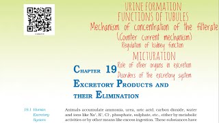 Excretory products and their elimination NCERT Part  3 For NEET [upl. by Hanimay]