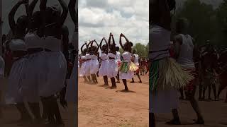 Amazing Lugbara Cultural Dance by upcoming nurses of Arua school of comprehensive Nursing [upl. by Woodruff631]