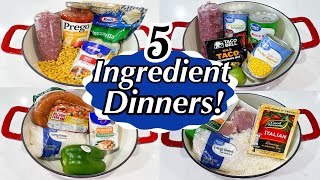 5 TASTY ONE POT MEALS  5INGREDIENT RECIPES  DINNERS MADE FAST amp EASY  JULIA PACHECO [upl. by Aidin]