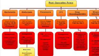 Surgery Algorithm PostOperative fever [upl. by Dettmer803]