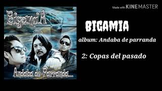 Bigamia  Copas del pasado Oficial Audio2019 [upl. by Ecinaej]