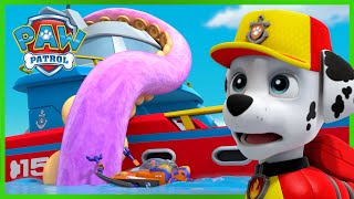 Sea Patroller Rescues  PAW Patrol  Cartoons for Kids Compilation [upl. by Carman]