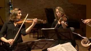 Haydn String Quartet No 53 in D Major Op 64  quotThe Larkquot [upl. by Wurster974]