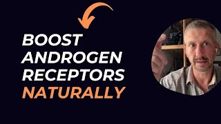 How To Increase Androgen Receptors  Heat Shock Proteins [upl. by Shaddock]