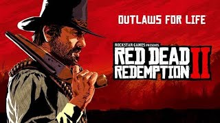 Red Dead Redemption 2  RX 5600 OEM  1080p HIGH [upl. by Izaak443]