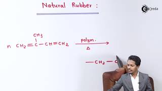 Natural Rubber  Polymers  Chemistry Class 12 [upl. by Ahsimaj]