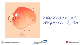 Músculos da Região Glútea [upl. by Carrel]