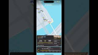 Japan Airlines Plane crash on flightradar24 JAL516 shorts [upl. by Hoffarth]