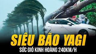 TOÀN CẢNH SIÊU BÃO YAGI TÀN PHÁ HÃI HÙNG SỨC GIÓ KINH HOÀNG 240KMH HÀ NỘI CÂY ĐỔ 1 NGƯỜI TỬ VONG [upl. by Atiuqrehs57]