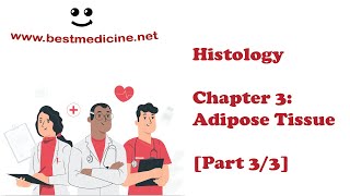 Histology Chapter 3 Adipose Tissue  Lecture 33 [upl. by Jacki]