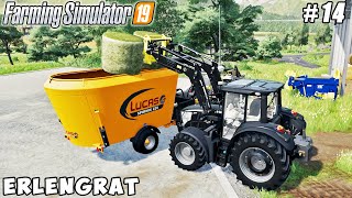 New tractor and storage harvesting potatoes  Erlengrat Farm  Farming simulator 19  Timelapse 14 [upl. by Anilahs247]