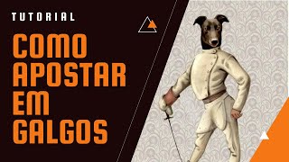 Como apostar em galgos [upl. by Naggem]