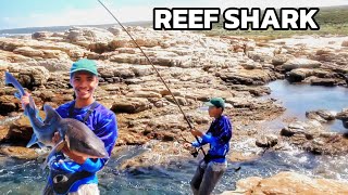 UNEXPECTED REEF SHARK catch  st francis [upl. by Relyc]