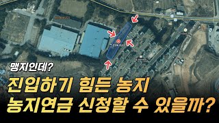 들어갈 수가 없는 완전 맹지 현장에 가보면 완전 다릅니다 농기계 진출입을 할 수가 없는데 농지연금 꿈 깨 [upl. by Teerpnam]