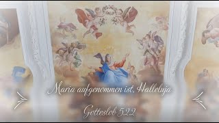 Maria aufgenommen ist Halleluja  Gotteslob 522 [upl. by Mena]