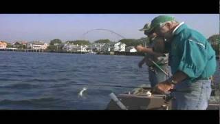 Flounder Fishing in Belmar NJ on the Shark River [upl. by Gosnell439]