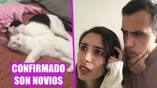 ESPIAMOS A LOS GATOS Y DESCUBRIMOS QUE SON NOVIOS ¿FRODI EMBARAZADA [upl. by Reuven562]