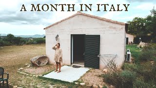 What I think about the USA after a month in Italy 🇮🇹 [upl. by Sharos]