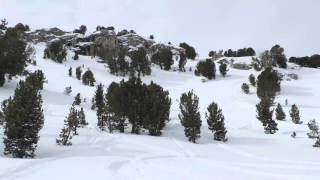 Snowmobiling Lamoille Canyon March 2016 [upl. by Onibla637]