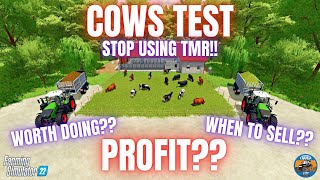 COWS TEST  Farming Simulator 22 [upl. by Hylan911]