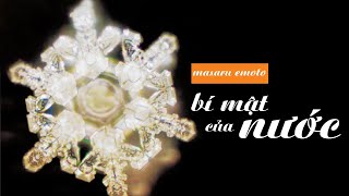 Sách Nói Bí Mật Của Nước  Chương 1  Masaru Emoto [upl. by Otilia]