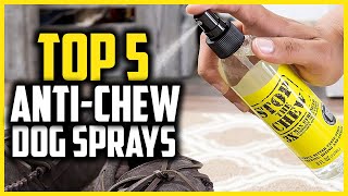 ✅ Top 5 Best Anti Chew Dog Sprays Reviews in 2024 [upl. by Kcub74]