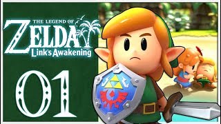 Legend of Zelda Links Awakening Remake Walkthrough Part 1 Mysterious Island Nintendo Switch [upl. by Surad805]