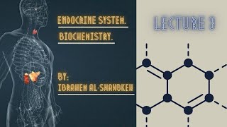 Endocrinology Biochemistry lecture 3 [upl. by Anavoig536]