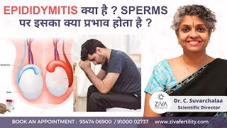 Epididymitis का प्रभाव  Can Epididymitis Cause Infertility  Dr C Suvarchalaa  Ziva Fertilityy [upl. by Bertrand]