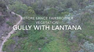 Lance Fairbrother Vegetation [upl. by Blakeley581]