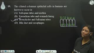 The ciliated columnar epithelial cells in humans are known to occur in [upl. by Galanti]