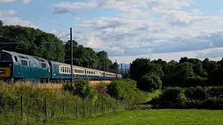 D1015 slowly climbing the Lickey Incline [upl. by Bonnice]