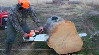 2010 Stihl MS 880 with 41 inch bar [upl. by Benji]