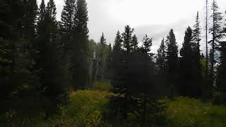 Gunnison N Forest Lost Lake Camp Colorado [upl. by Anyah]