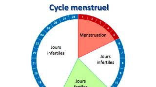 Quels sont les jours fertiles pour tomber enceinte [upl. by Alten385]