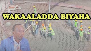 SHAQADA WAKAALADDA BIYAHA HARGEISA 2024 [upl. by Banquer]