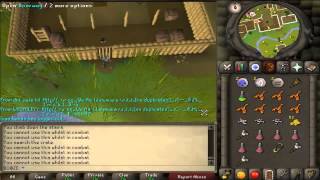 How to get ninjaguard greegrees  runescape [upl. by Ahseryt]