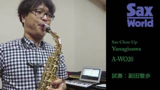 Yanagisawa A WO20試奏動画 [upl. by Zaneski]