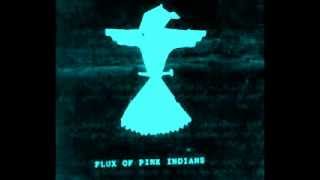 Flux Of Pink Indians  Demos Comps FULL [upl. by Ecinahs]