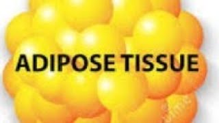 Adipose tissues [upl. by Ettevol]