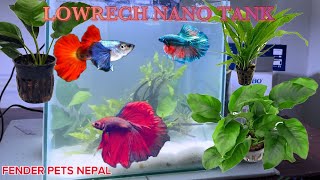 LOW TECH  NANO PLANTED TANK  SETUP FOE BETTA amp TANK MATES  Fenderpetsnepal rakeshlama [upl. by Ayotak436]