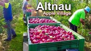 Discover Altnau Apple Village  Thurgau Apple Paradise In Switzerland [upl. by Jeanelle]