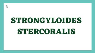 Strongyloides stercoralis  Threadworm  Life Cycle Symptoms Diagnosis Treatment  Nematodes [upl. by Fruma954]