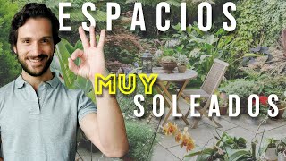 Planifica Tu Terraza o Jardín con MUCHA exposición al Sol 🌞 Plantas de Sol resistentes [upl. by Fife]