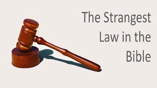 The Strangest Law In The Bible [upl. by Bullock]