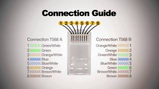 How to make Cat6 patch cord [upl. by Arannahs]