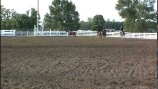 mounted drill team riders on running horses  horse rider amp fast performance horses galloping [upl. by Quince]