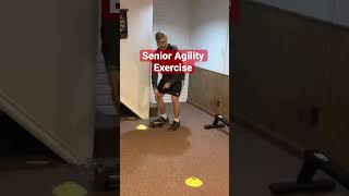 Senior Agility Exercise to Prevent Falls✅shorts [upl. by Stoll193]